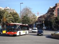Pl. Lluchmajor, enero 2009