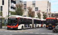 c. Sant Adrià, nov.2024
