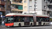 Av. Meridiana, enero 2025