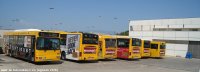 Cocheras de Firsesa, con todos los autobuses aparcados (7) -era domingo-, el coche nº 11 no se porque está al fondo tapado por el penúltimo, ago.2010