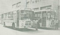 Primeros autobuses del servicio urbano. Boletín Municipal (Sant Feliu de Llobregat) 01/06/1976. Pàgina 24